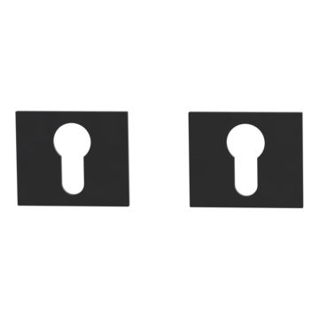 Pair of escutcheons