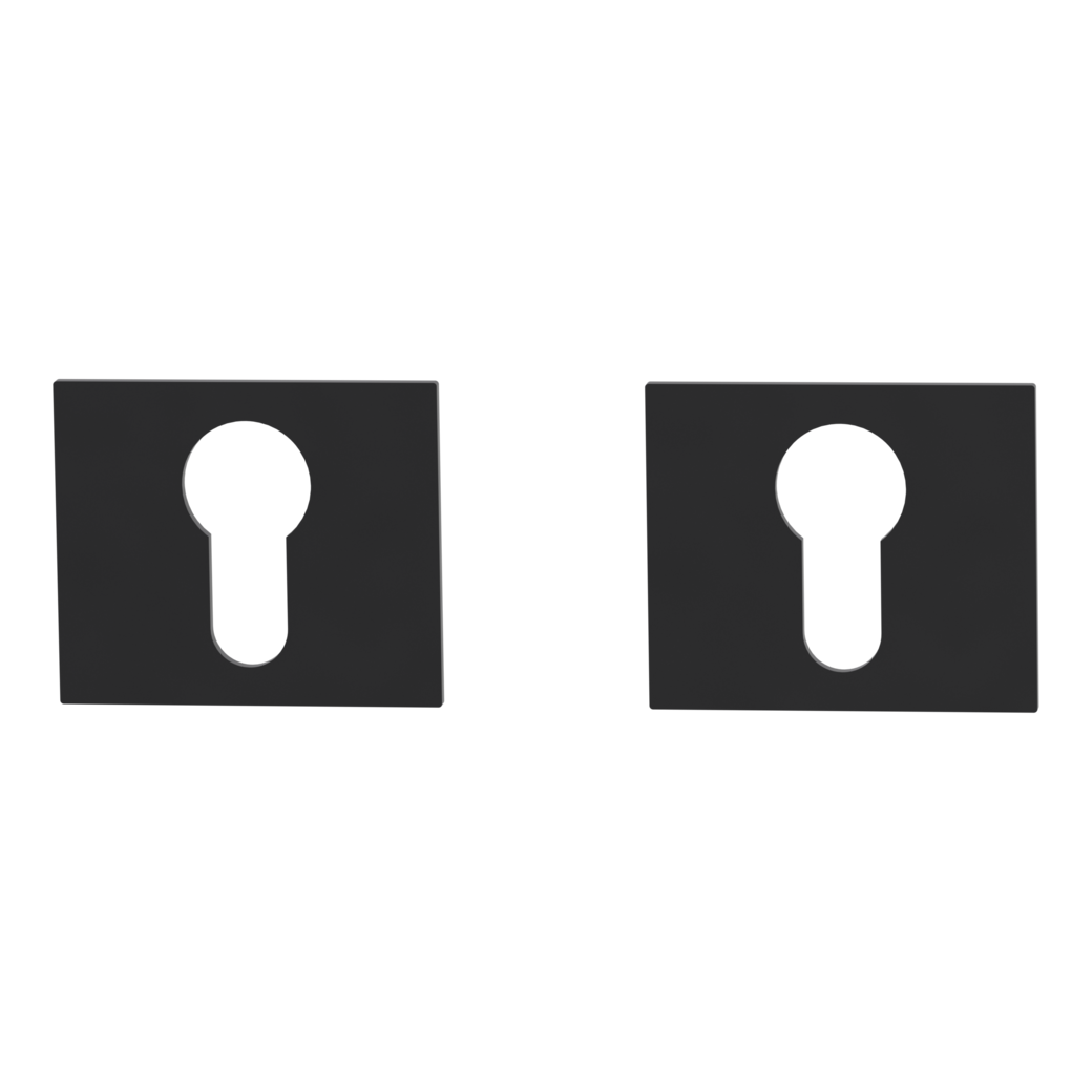 Paire de rosaces clé Cylindre profil européen carré Rosace plate noir graphite