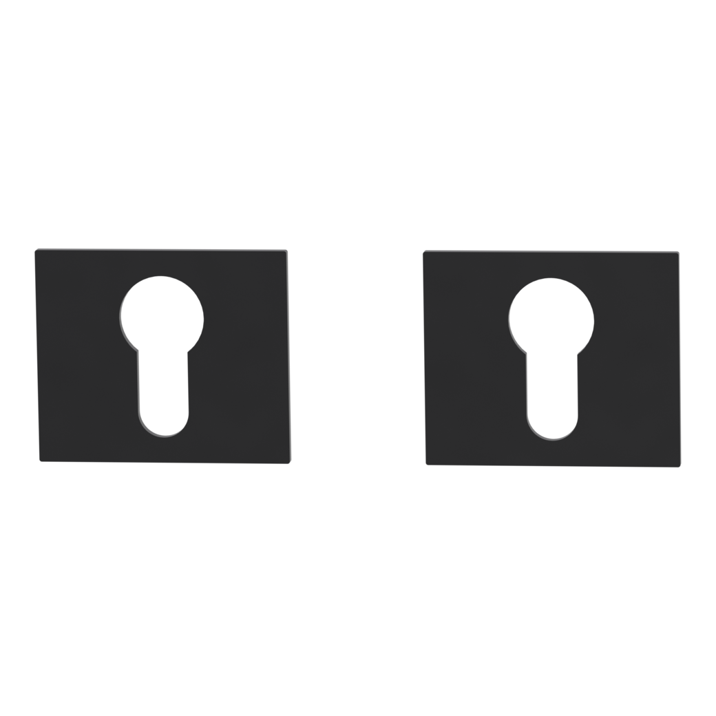 Pair of escutcheons straight-edged profile cylinder Flat escutcheon graphite black