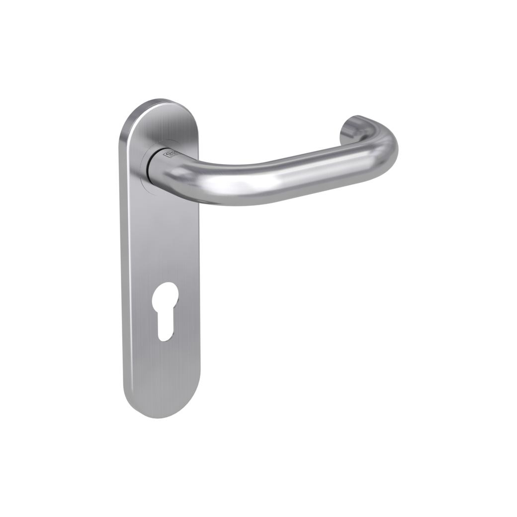 door handle set ALESSIA PROF screw on FP short plate round euro profile brushed steel