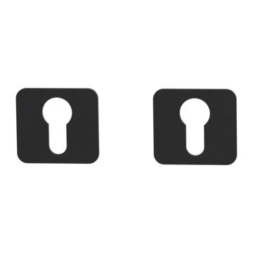 ONE pair of escutcheons