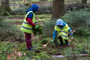 The picture shows two children transplanting moss.