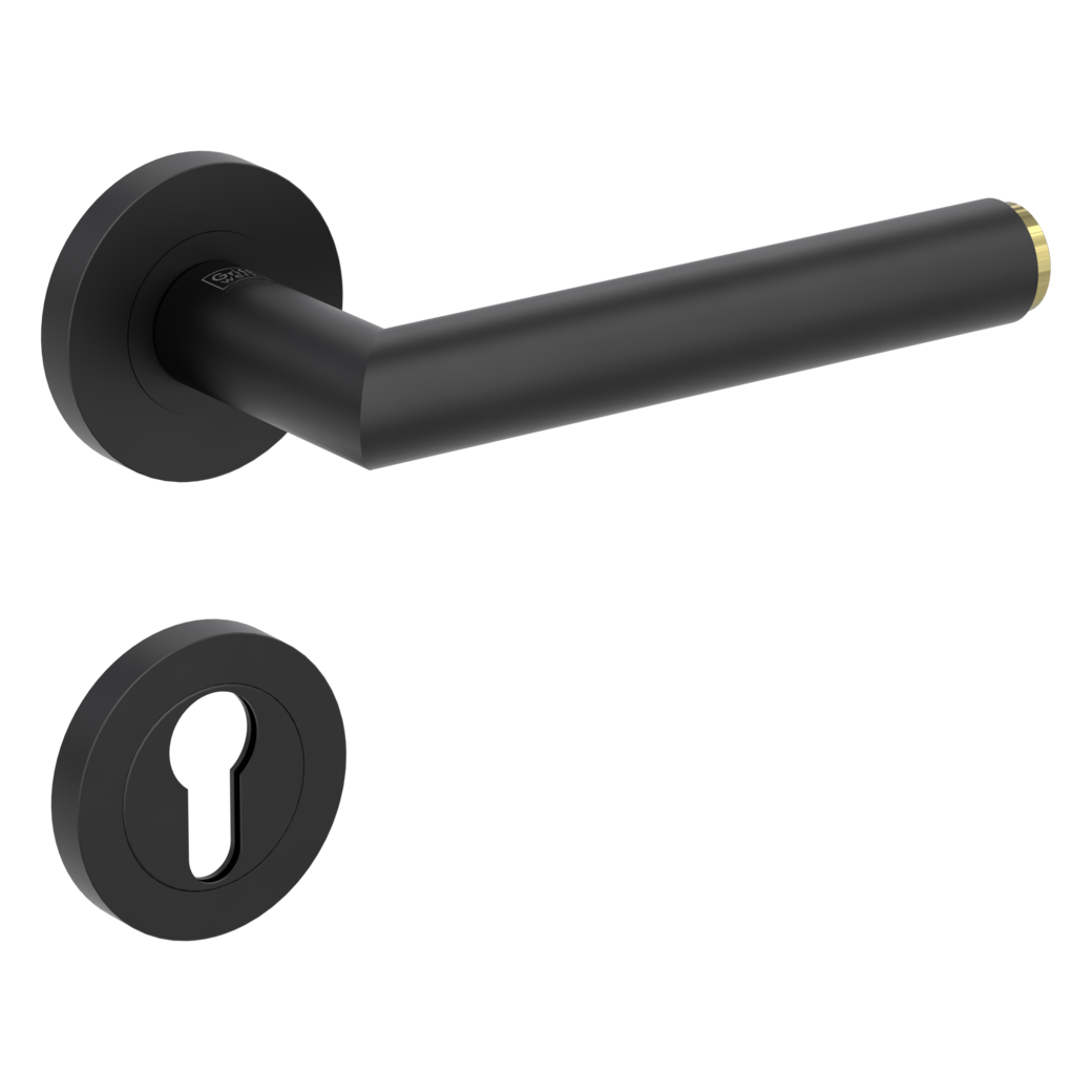 LUCIA SELECT door handle set Screw-on system GK3 round escutcheons Profile cylinder graphite black brass