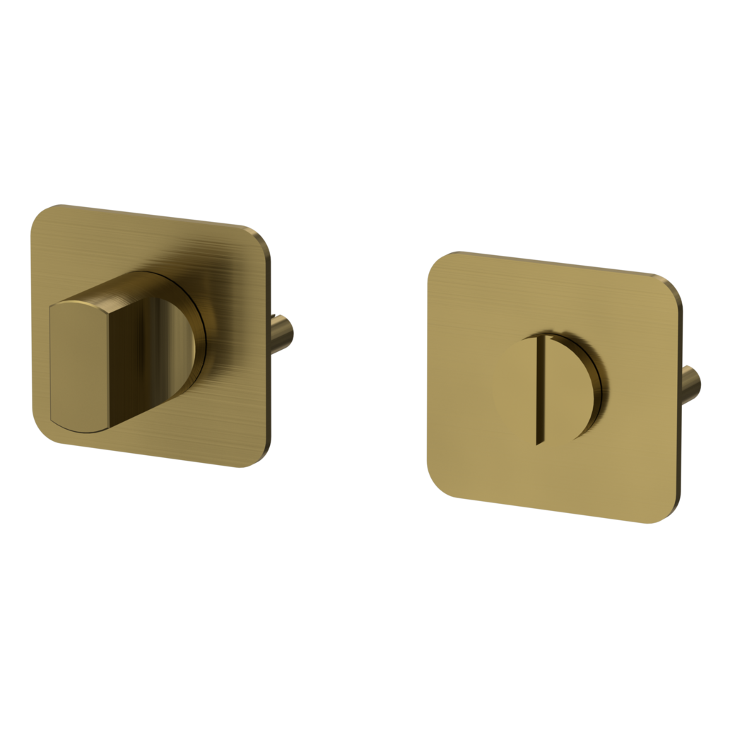 ONE pair of escutcheons rounded WC Flat escutcheon brushed gold