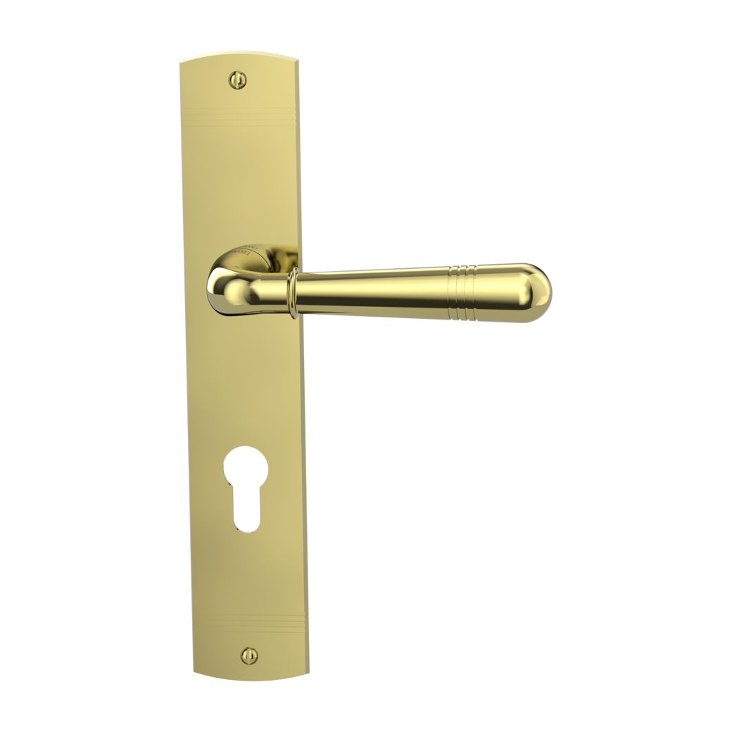 door handle set FABIO deco screw long plate freeform euro profile brass look