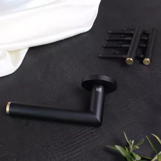 Lucia Select brass graphite black with straps The picture shows the Lucia Select door handle with brass insert in graphite black with matching hinges