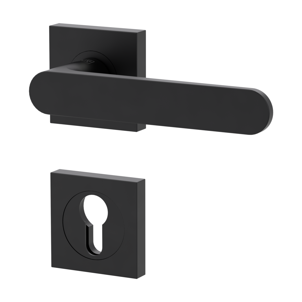 Garniture de poignée de porte AVUS Technique de vissage GK4 rosaces carrées Cylindre profil européen noir graphite