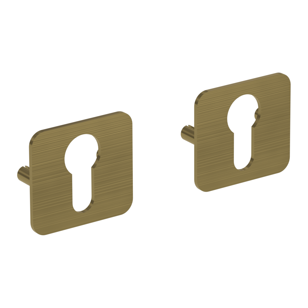 ONE pair of escutcheons rounded profile cylinder Flat escutcheon brushed gold