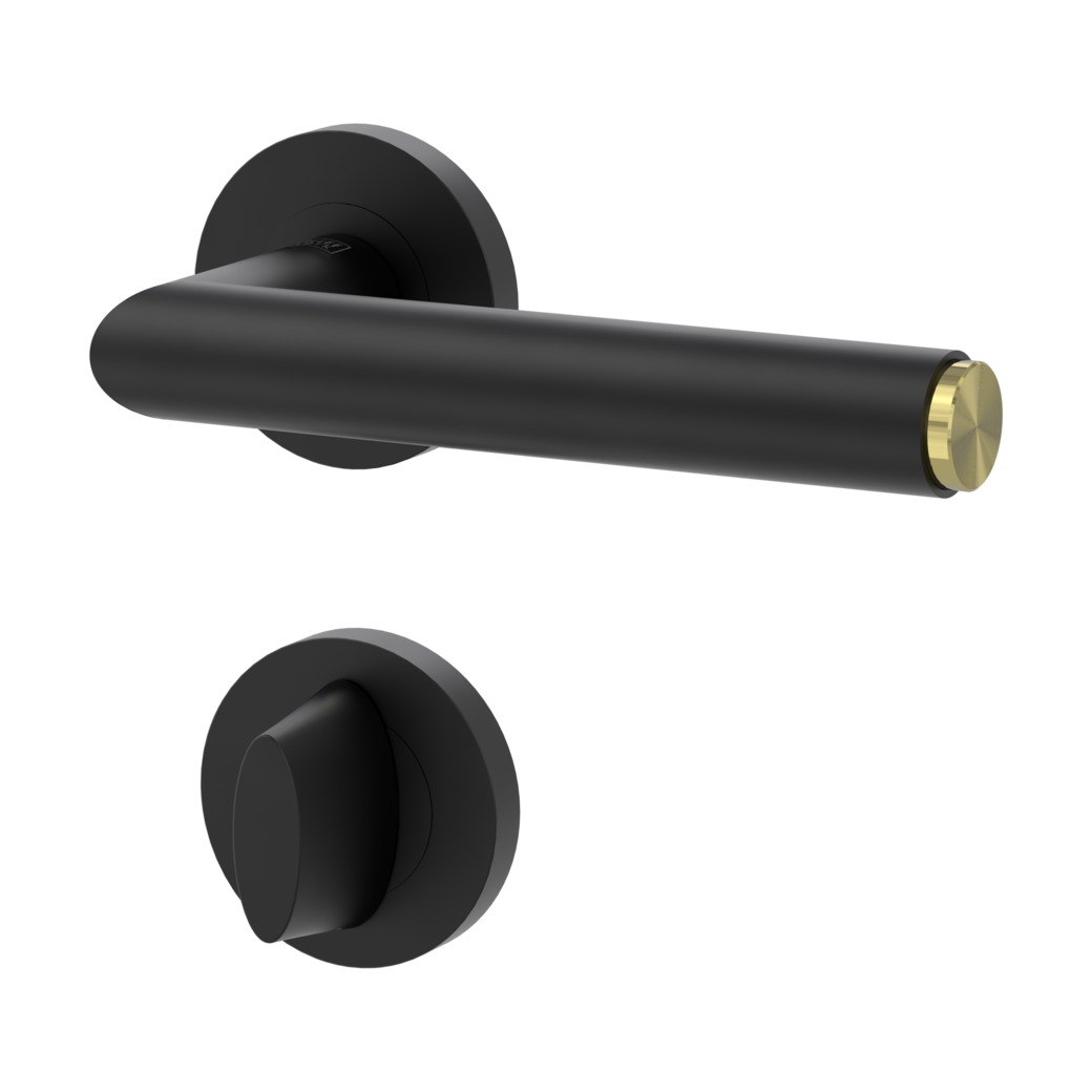 LUCIA SELECT door handle set Screw-on system GK3 round escutcheons WC graphite black brass