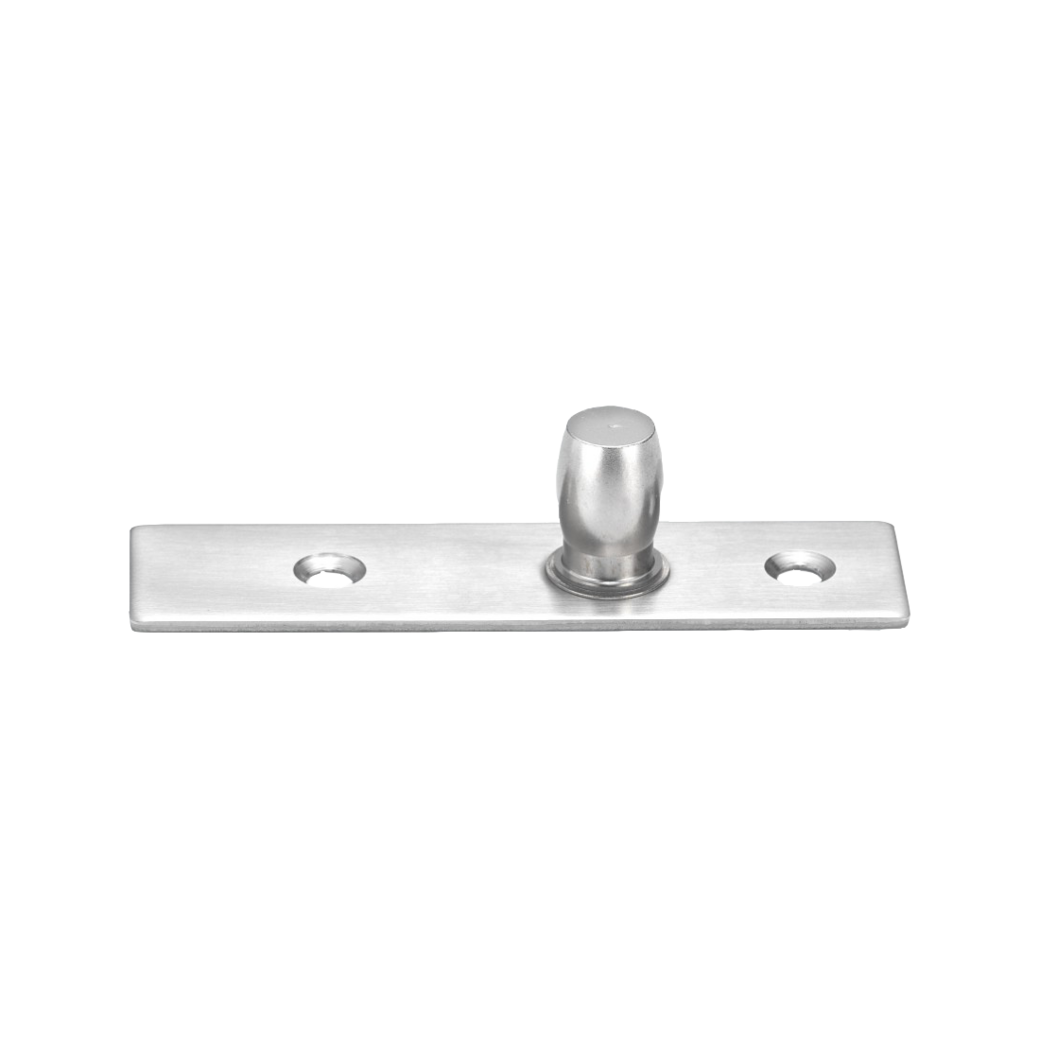 hinge Pivot PT24 incl. pivot point glass door set milling ceiling mount brushed steel