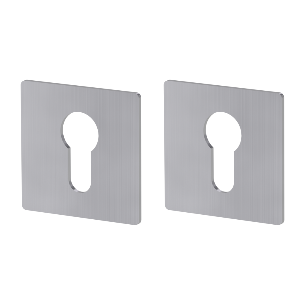 Pair of escutcheons straight-edged profile cylinder Flat escutcheon stainless steel matt