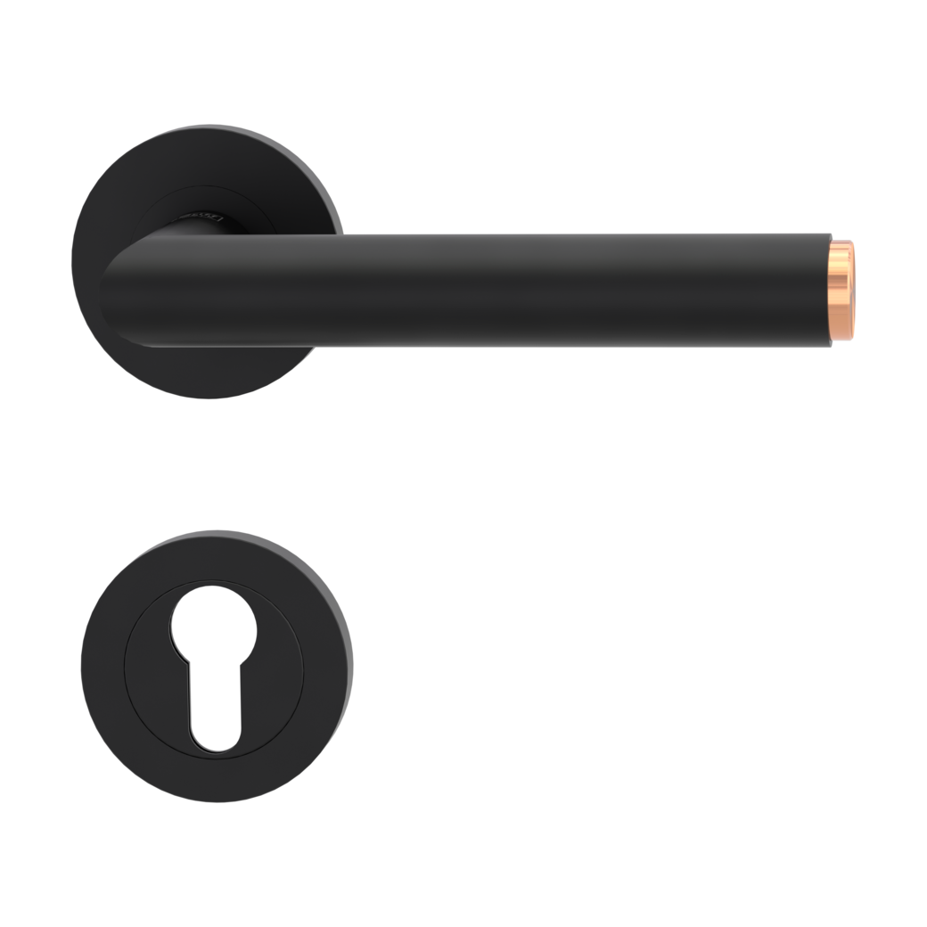 LUCIA SELECT door handle set Screw-on system GK3 round escutcheons Profile cylinder graphite black copper