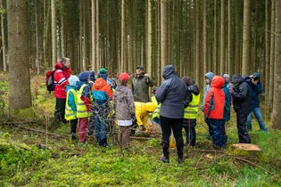 Die Abbildung zeigt eine große Gruppe von Kindern, welche im Wald Bäume für die Umwelt pflanzen.