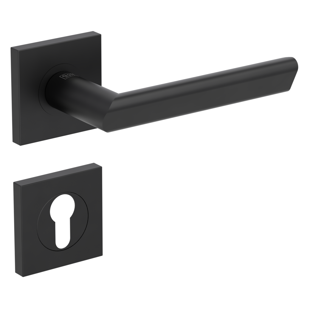 Garniture de poignée de porte TRI 134 Technique de vissage GK3 rosaces carrées Cylindre profil européen noir graphite