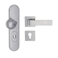 Silhouette product image in perfect product view shows the Griffwerk security combi set TITANO_882 in the version cylinder cover, square, brushed steel, clip on with the door handle GRAPH SG