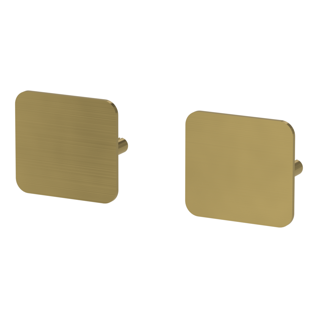 ONE pair of escutcheons rounded blank escutcheon Flat escutcheon brushed gold