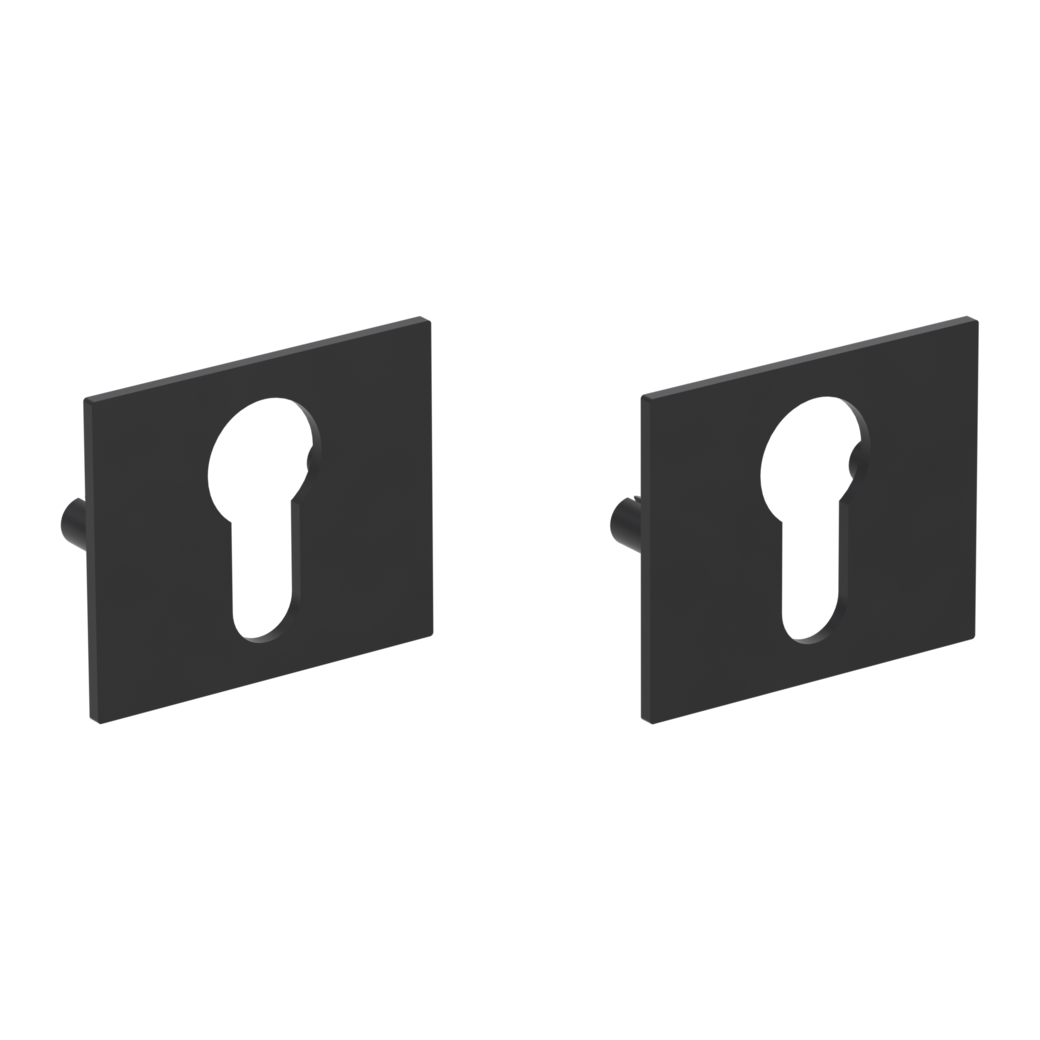 Paire de rosaces clé Cylindre profil européen carré Rosace plate noir graphite