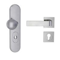 Silhouette product image in perfect product view shows the Griffwerk security combi set TITANO_882 in the version cylinder cover, square, brushed steel, clip on with the door handle GRAPH SG