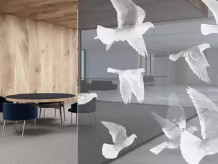 Glastür BIRDS & BIRD_LD_695 auf Grauglas Glastür BIRDS & BIRD_LD_695 im Ambiente mit Bürohintergrund auf Grauglas Moon Grey