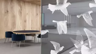 Glass door BIRDS & BIRD_LD_695 on smoked glass Glass door BIRDS & BIRD_LD_695 in living environment with office background on smoked glass Moon Grey