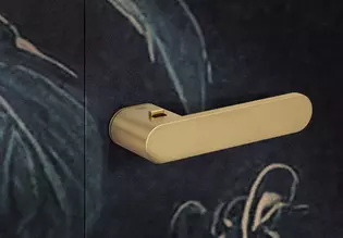 Poignées de porte ONE en or L'illustration montre la poignée de porte ONE en or montée sur une porte à motifs.