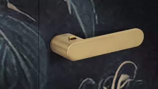Die Abbildung zeigt den montierten Türgriff ONE in Gold auf einer bemusterten Tür.