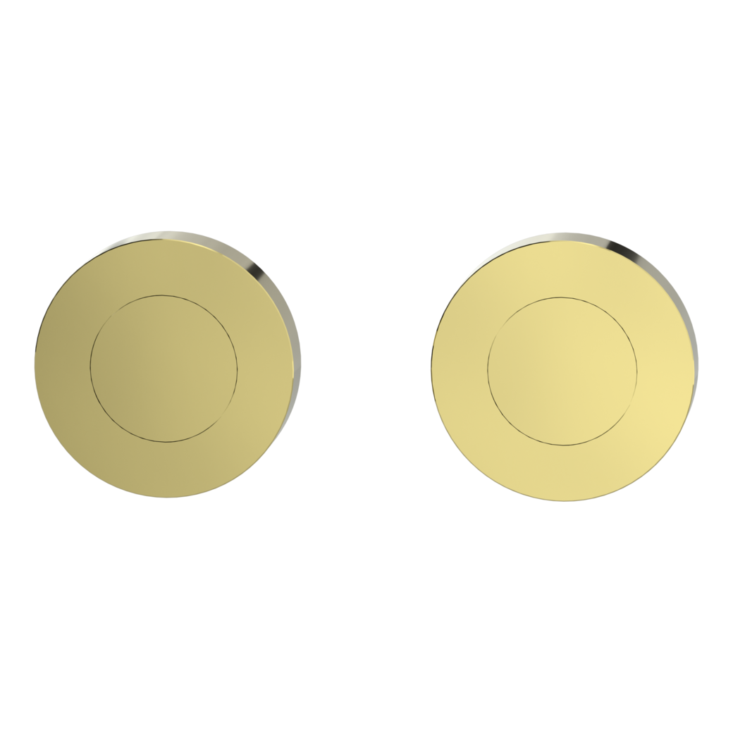 Pair of escutcheons zinc round blank escutcheon Screw-on system brass effect