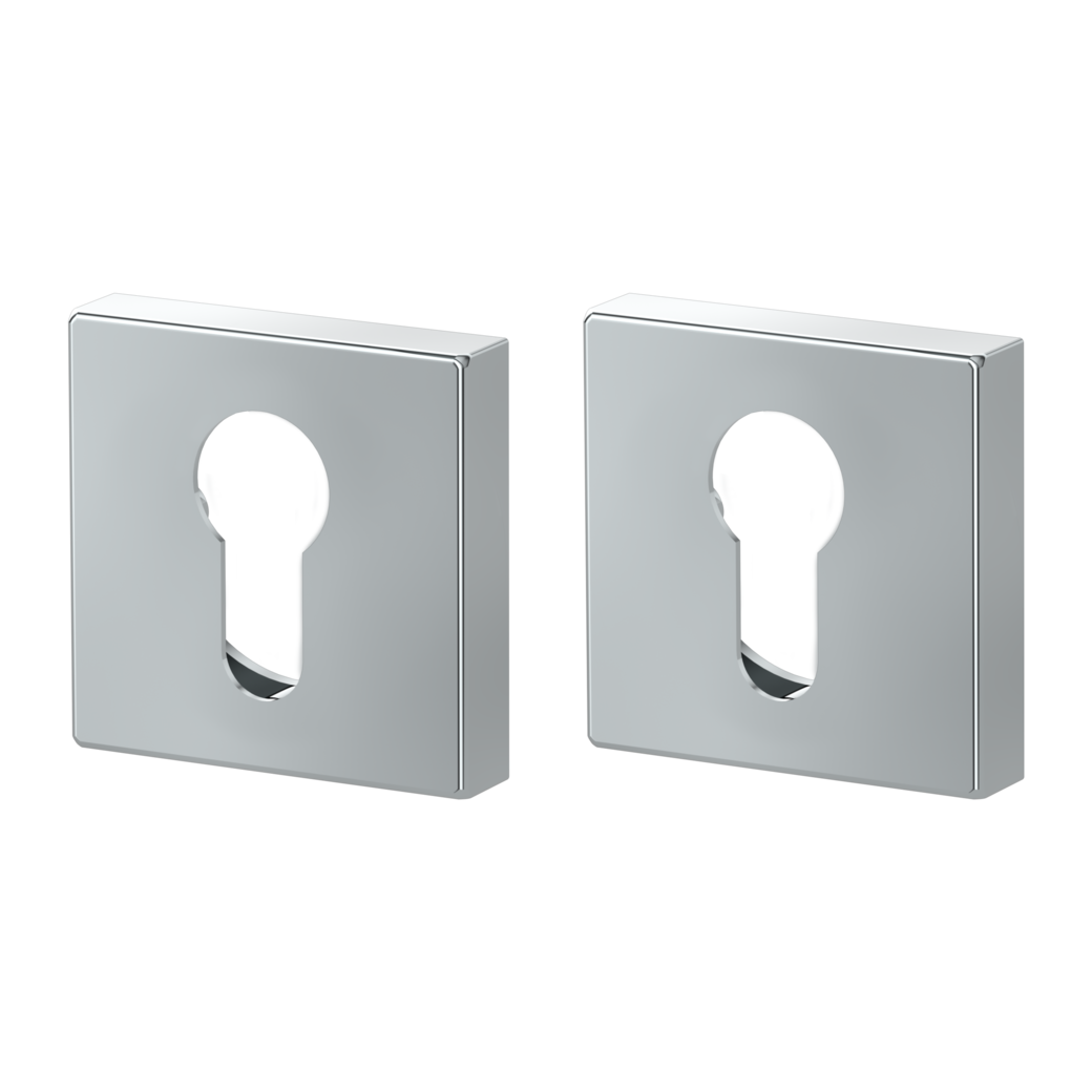 Pair of escutcheons straight-edged profile cylinder Clip-on system polished stainless steel