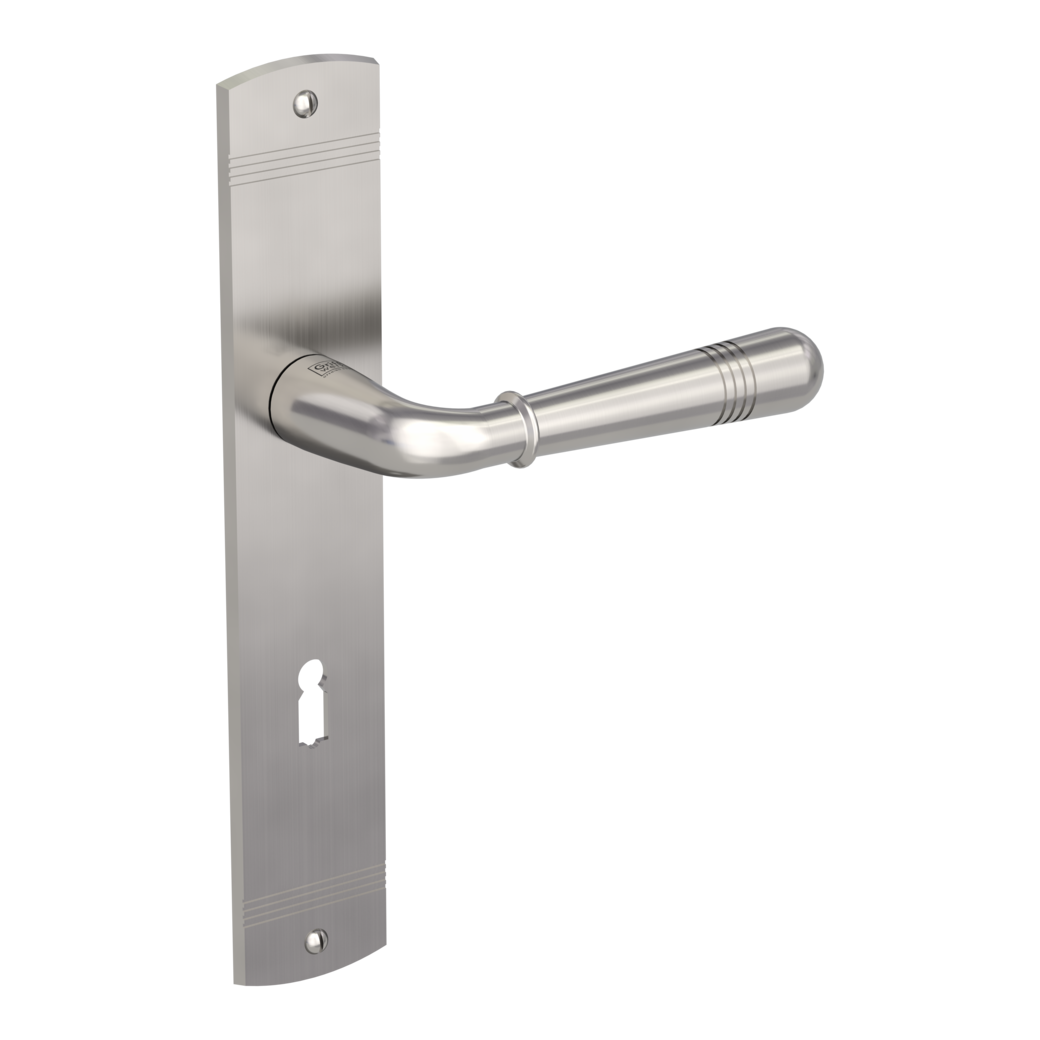 door handle set FABIO deco screw long plate freeform mortice lock velvety grey