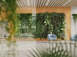La photo montre un bureau avec des murs végétalisés