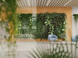 The picture shows an office with wall greening