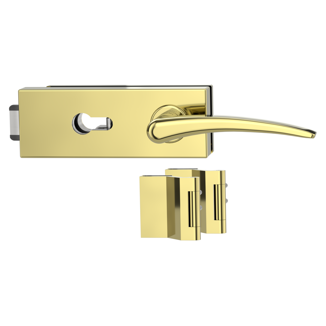 glass door lock set PURISTO S euro profile silent 3-part hinges MARISA brass look