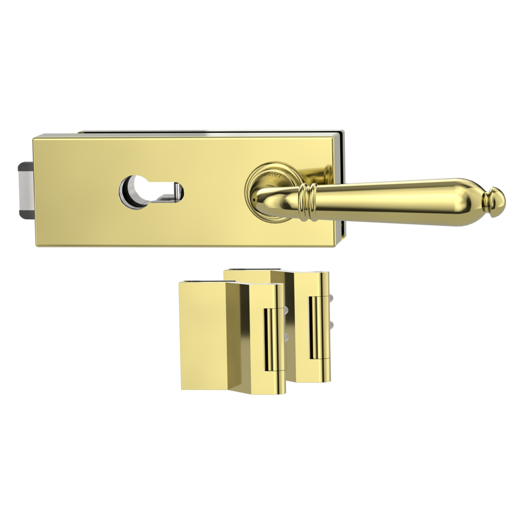 glass door lock set PURISTO S euro profile silent 3-part hinges CAROLA brass look