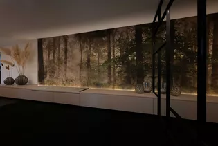 Die Abbildung zeigt eine Tapete im Wohnbereich mit einem Waldmotiv