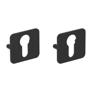 ONE pair of escutcheons