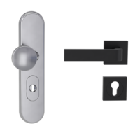 Silhouette product image in perfect product view shows the Griffwerk security combi set TITANO_882 in the version cylinder cover, square, brushed steel, clip on with the door handle GRAPH GSC