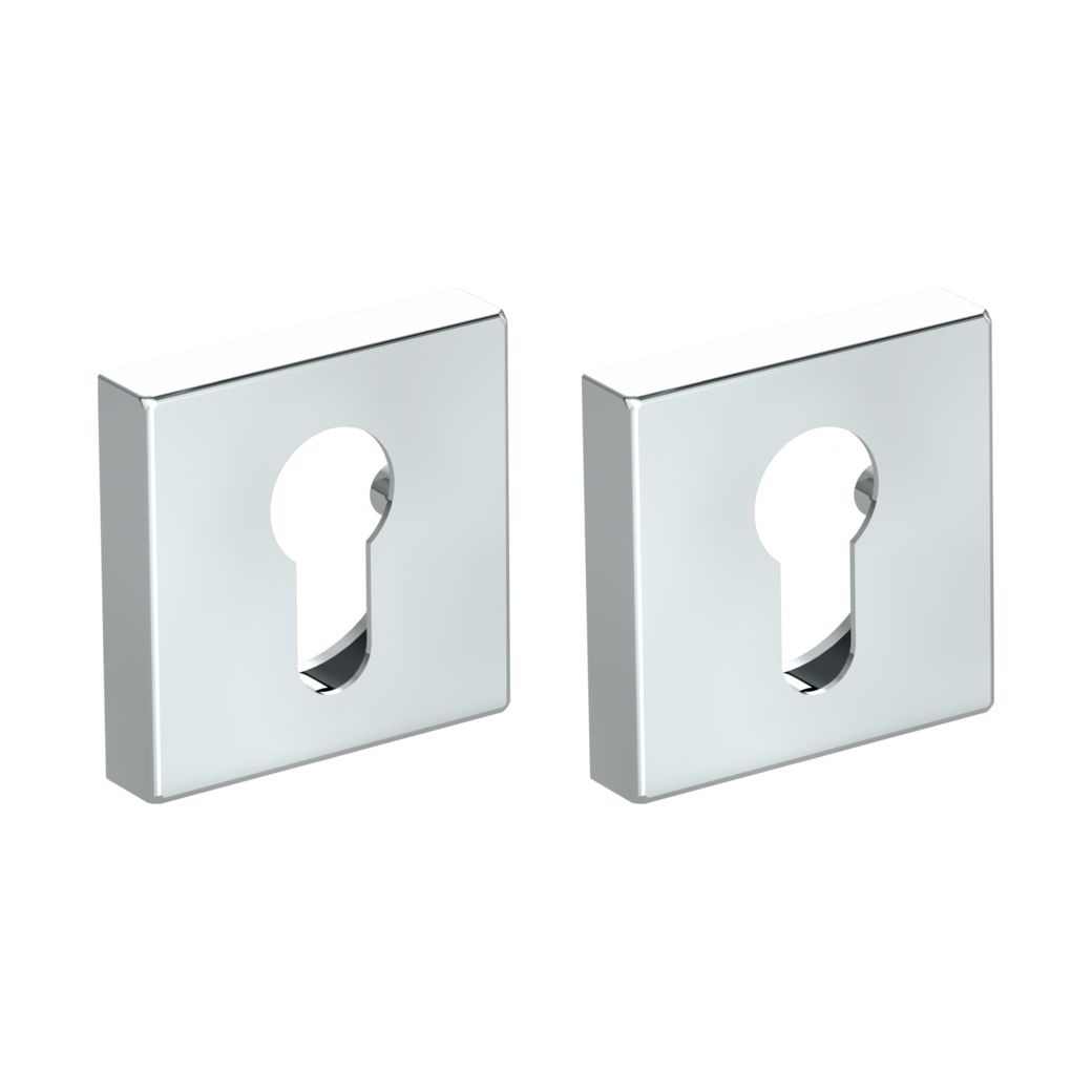 Pair of escutcheons straight-edged profile cylinder Clip-on system polished stainless steel