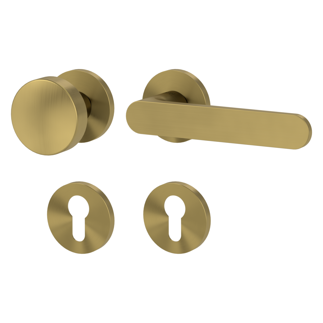 Wechselgarnitur VAYA 291 AVUS Fast2Fix Rosetten rund Knopf R2 Gold matt R