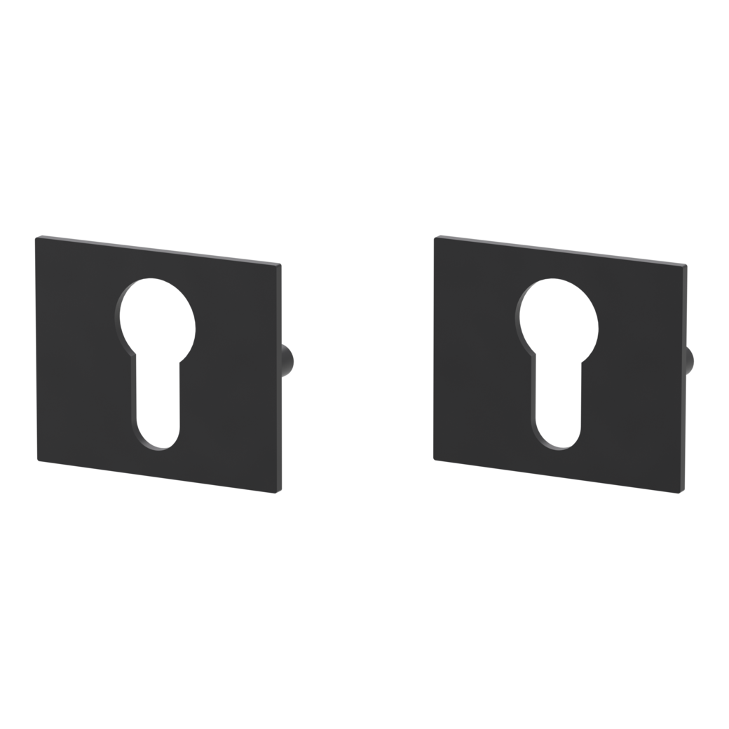 Pair of escutcheons straight-edged profile cylinder Flat escutcheon graphite black