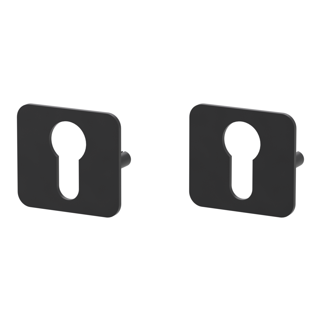 ONE pair of escutcheons rounded profile cylinder Flat escutcheon graphite black