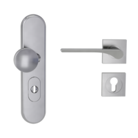 Silhouette product image in perfect product view shows the Griffwerk security combi set TITANO_882 in the version cylinder cover, square, brushed steel, clip on with the door handle LEAF LIGHT SG