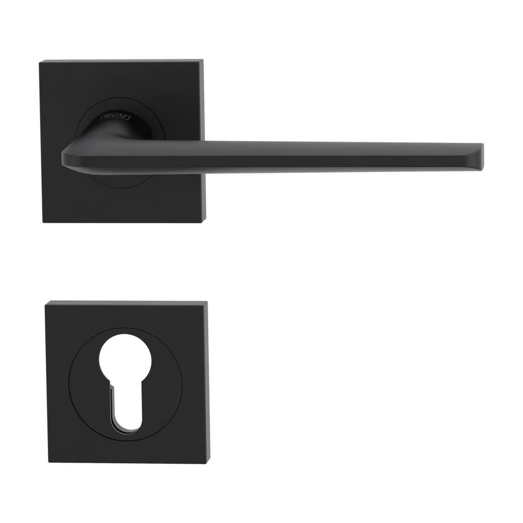 Garniture de poignée de porte REMOTE Technique de vissage GK4 rosaces carrées Cylindre profil européen noir graphite
