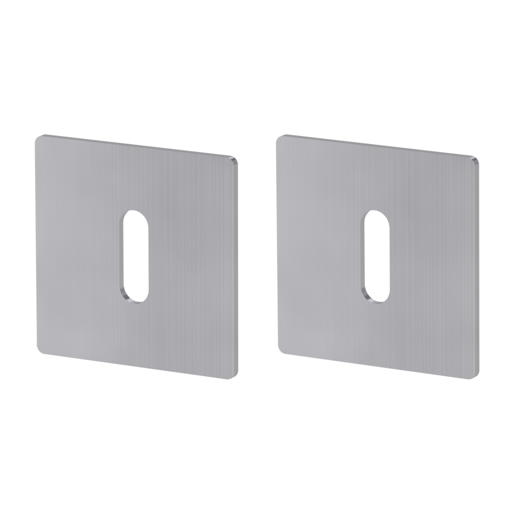 Pair of escutcheons straight-edged cipher bit Flat escutcheon stainless steel matt