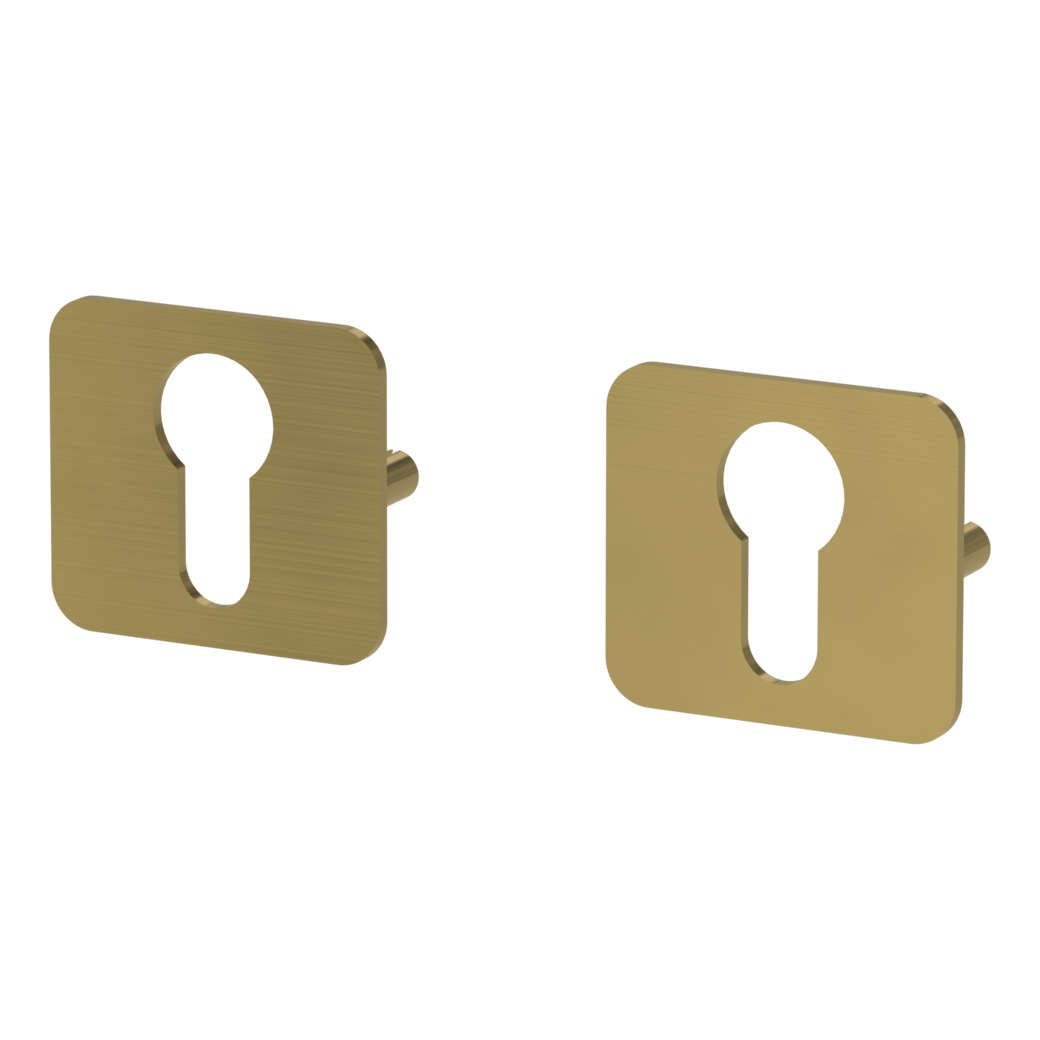 ONE pair of escutcheons rounded profile cylinder Flat escutcheon brushed gold