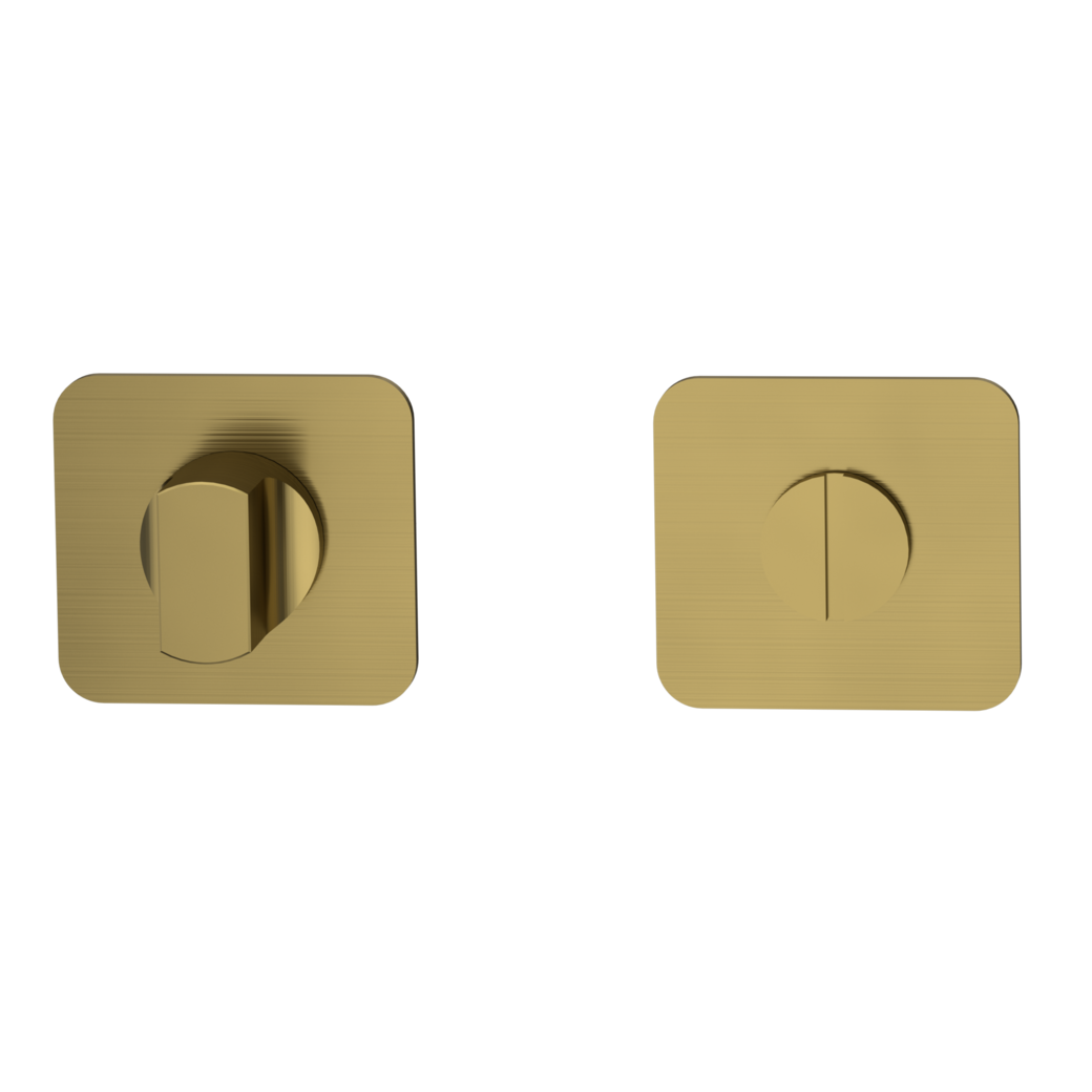 ONE pair of escutcheons rounded WC Flat escutcheon brushed gold