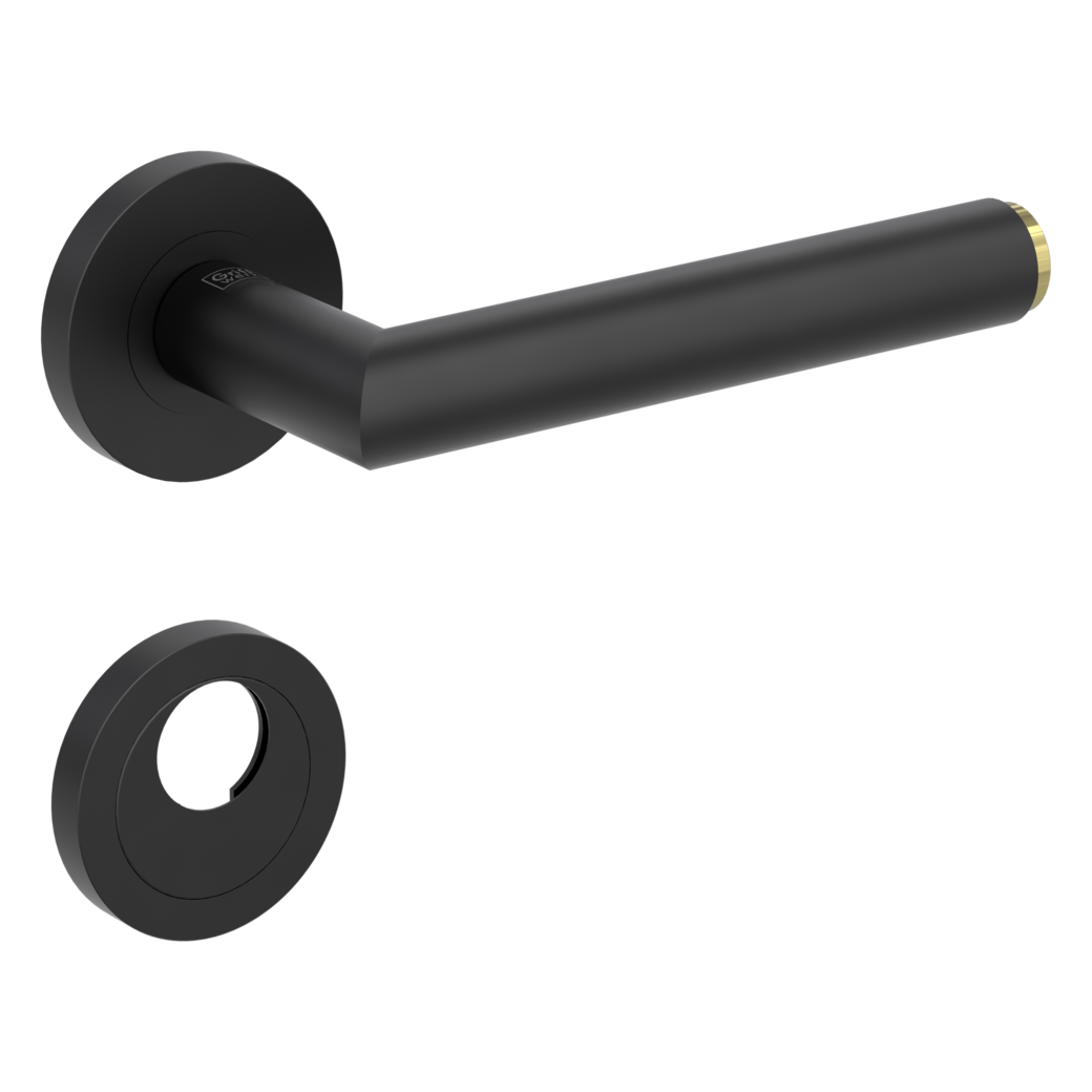 door handle set LUCIA SELECT screw on cl3 rose set round swiss profile graphite black/brass