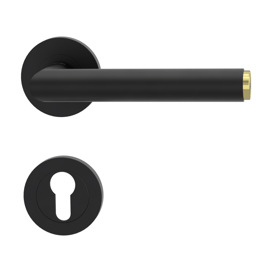 LUCIA SELECT door handle set Screw-on system GK3 round escutcheons Profile cylinder graphite black brass