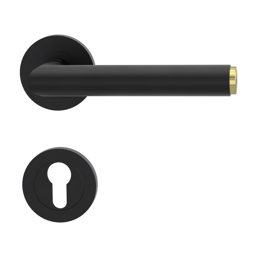 door handle set LUCIA SELECT screw on cl3 rose set round euro profile graphite black/brass