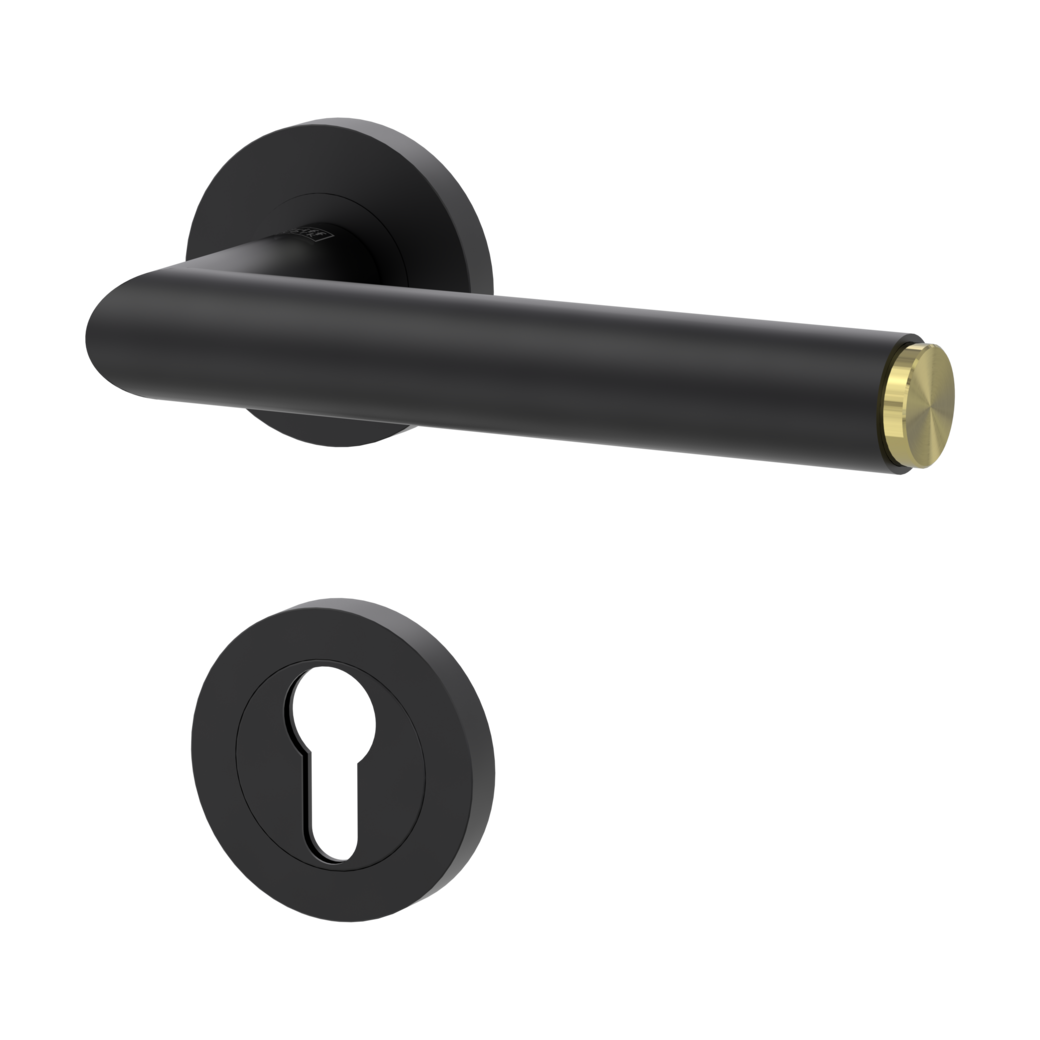 LUCIA SELECT door handle set Screw-on system GK3 round escutcheons Profile cylinder graphite black brass