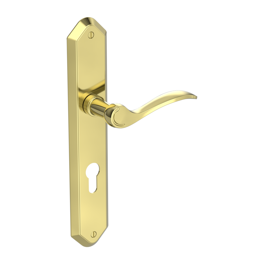 Isolated product image in the right-turned angle shows the GRIFFWERK door handle set AMADEUS in the surface brass look version  euro profile